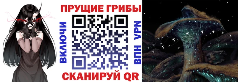 где продают   Заозёрный  Псилоцибиновые грибы ЛСД 